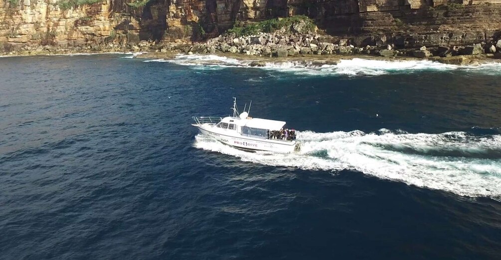 Picture 1 for Activity Sydney: Manly or Rose Bay Half-Day Double Boat Dive