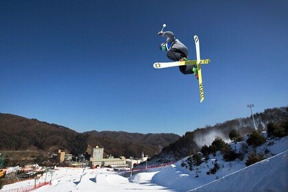 From Seoul: 2 hours Private Ski Lesson at Pheonix Resort