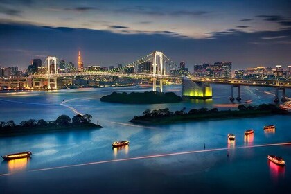 Tokyo Private Driving Tour by Car/Van with English Chauffeur