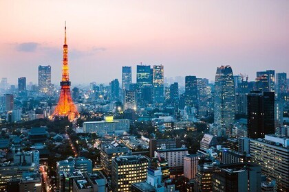 Tokyo Private Driving Tour by Car or Van with Chauffeur