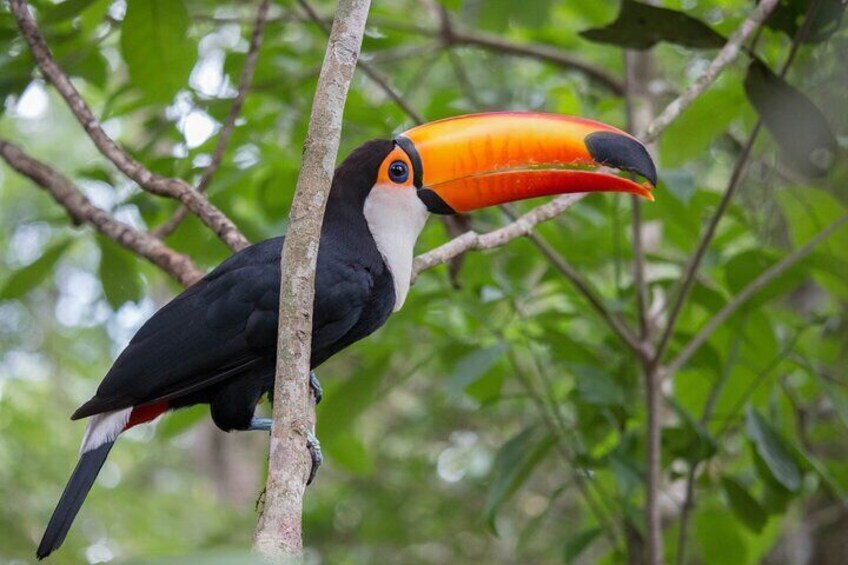 Private Hiking Tour to Lagoinha do Leste