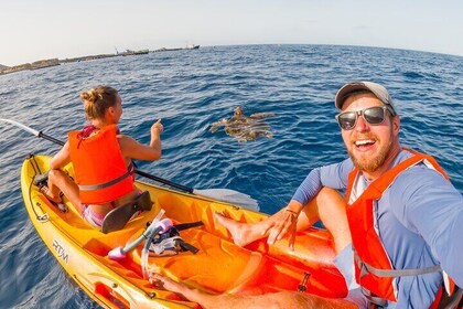 Kayaking and Snorkelling Adventure in Tenerife - Small Groups