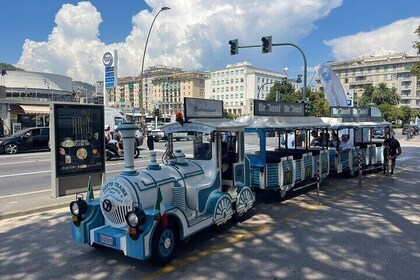 Tour da Spezia a Golfo dei Poeti e Pisa con bus e Trenino