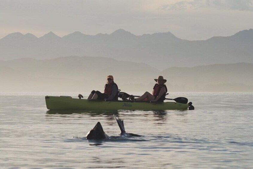 Hands free pedal kayaks make great photo opportunities