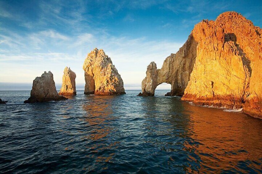 All Included Whale Watching Experience in Los Cabos 