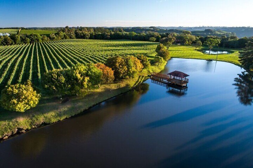 Wine Region of Brazil
