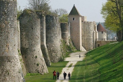 Provins and Fontainebleau One Day Private Trip from Paris