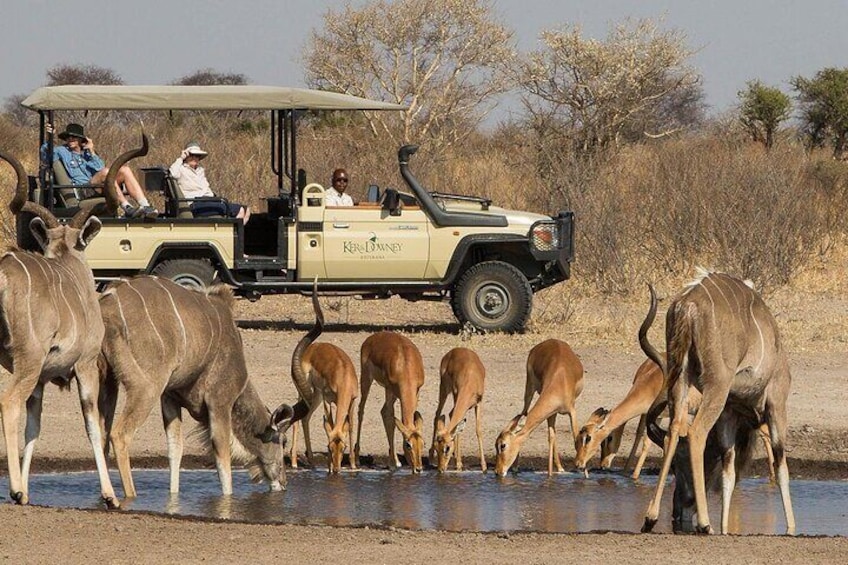 Half Day Safari Tala Game Reserve & Natal Lion Park