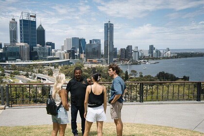 Experience Culture in Kings Park Cultural Tour