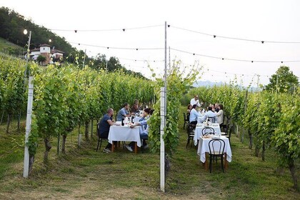 Geführter Spaziergang und Mittagessen im Weinberg in Alba