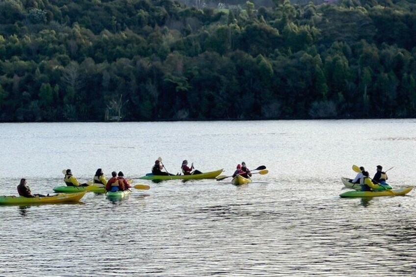 Twilight Kayak Glowworm Tour with Stargazing 