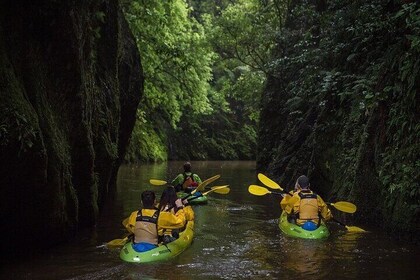 Twilight Kayak Glowworm Tour with Stargazing