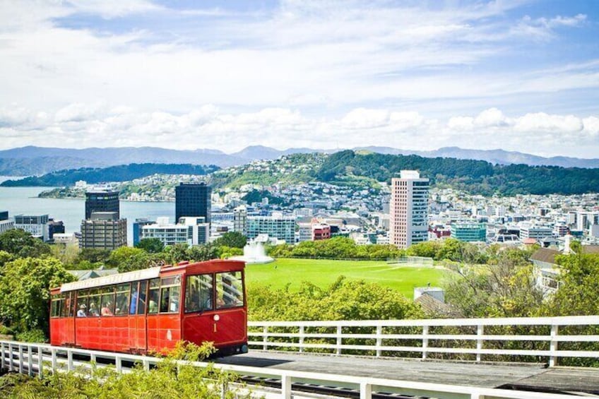 Wellington Private Highlight Fullday tour 