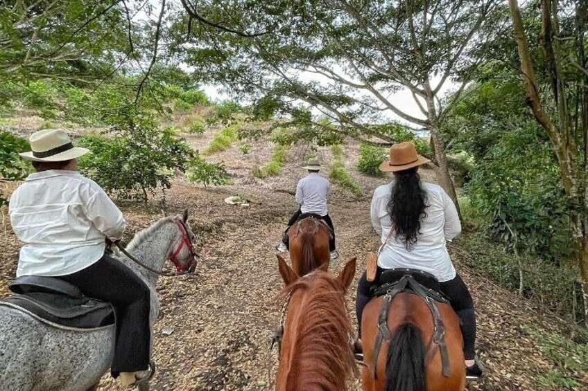 Exclusive Private Horseback Riding Experience from Pereira