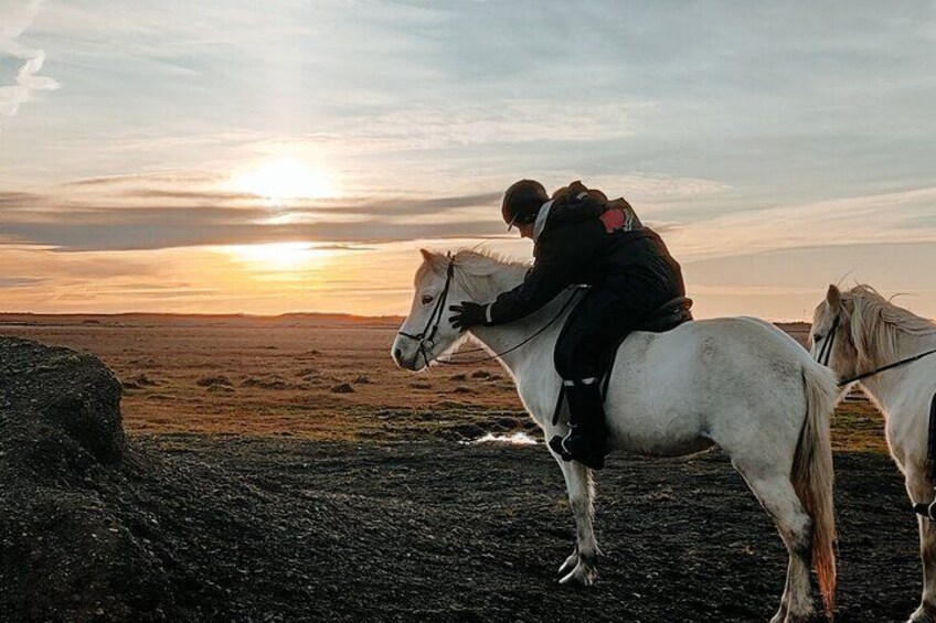 One-Hour Horseback Riding Tour in the Icelandic Countryside