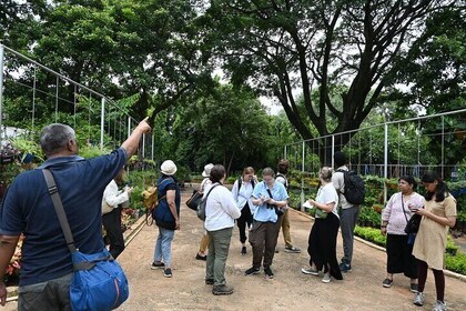 Lalbagh Garden Afternoon Walk + VV Puram Evening Food Street Walk