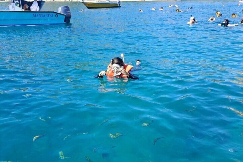 Tortuga Island Paradise Tour with Snorkeling Included