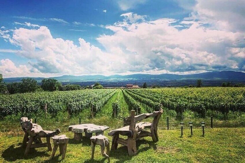 Kakheti Essence Vineyards Culture and Heritage Tour