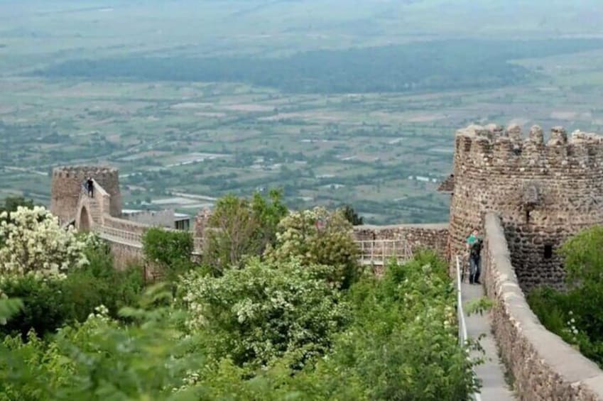 Kakheti Essence Vineyards Culture and Heritage Tour