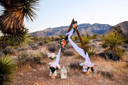 Las Vegas Scenic Wedding Ceremonies