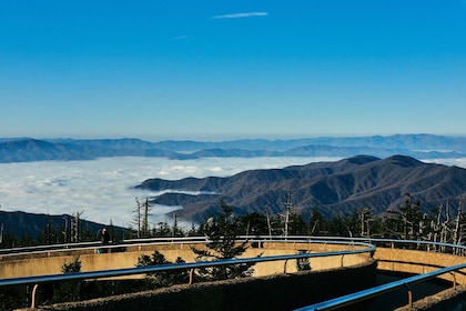 Clingmans Dome Self-Guided Walking excursion