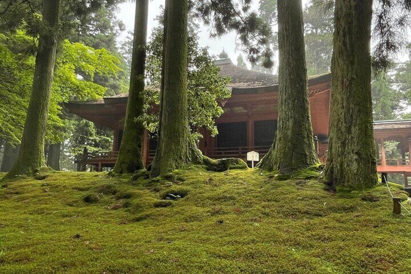 Kyoto : Discover Mount Hiei, a Revered Sacred Private Tour