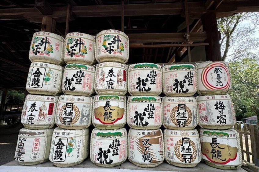 Half-Day Private Kasuga Taisha Shrine Tour in Nara 