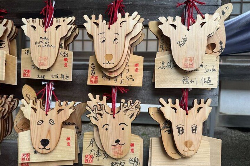 Half-Day Private Kasuga Taisha Shrine Tour in Nara