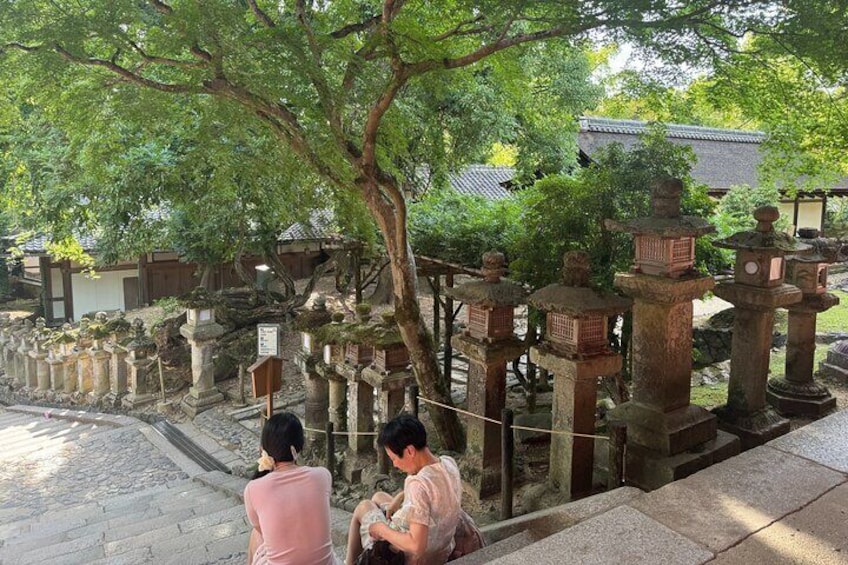 Half-Day Private Kasuga Taisha Shrine Tour in Nara
