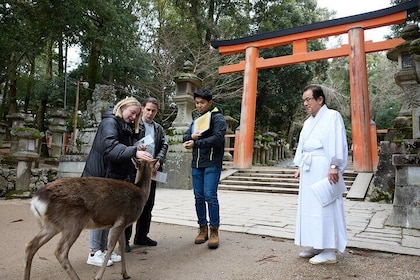 Visite privée d'une demi-journée au sanctuaire Kasuga Taisha à Nara