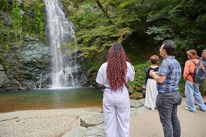 Osaka: Randonnée panoramique privée de 2,5 heures à la cascade de Minoo