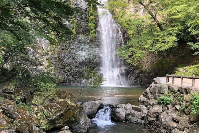 Half-Day Osaka Private Hiking Tour in Minoh