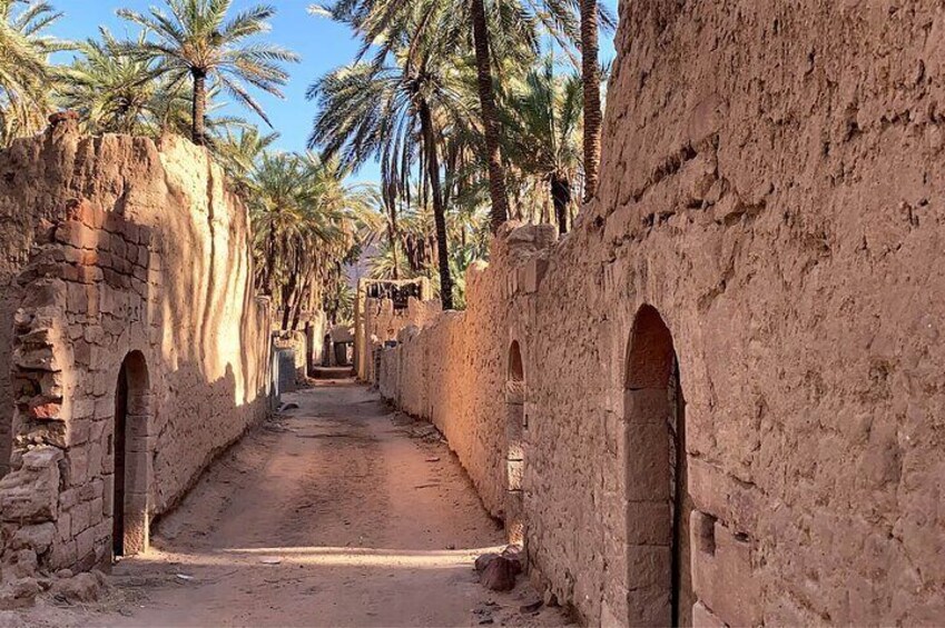 Oasis Adventure in Alula