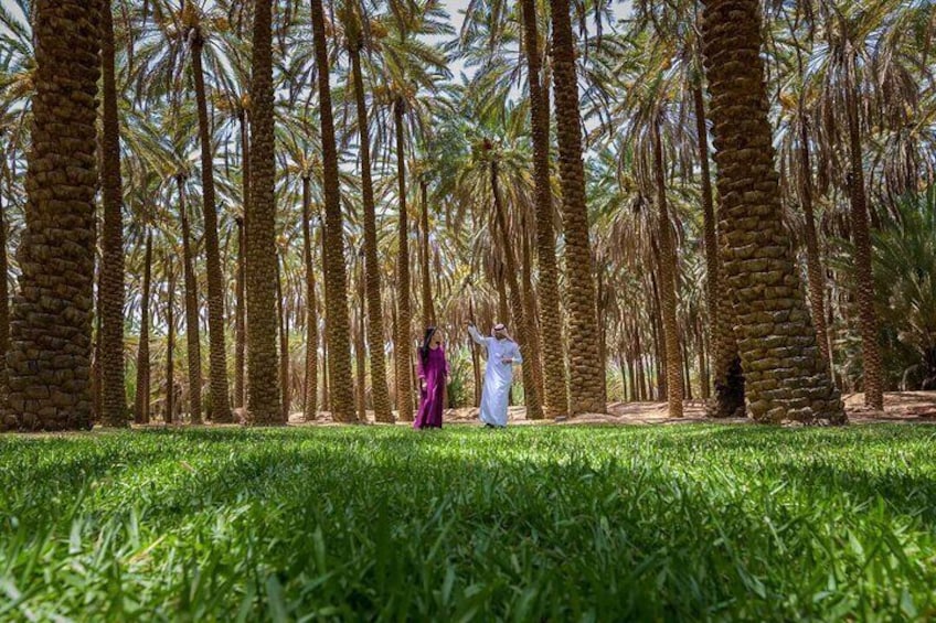 Oasis Adventure in Alula