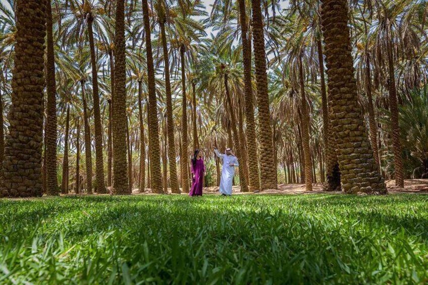 Oasis Adventure in Alula