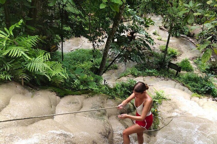 Half Day Chiangmai Bua Tong Sticky Waterfall Tour