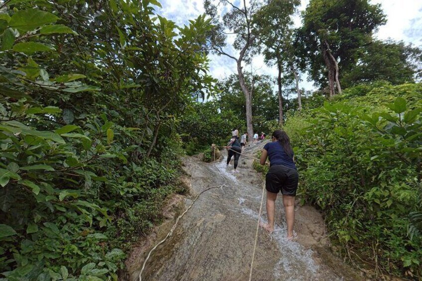 Half Day Chiangmai Bua Tong Sticky Waterfall Tour