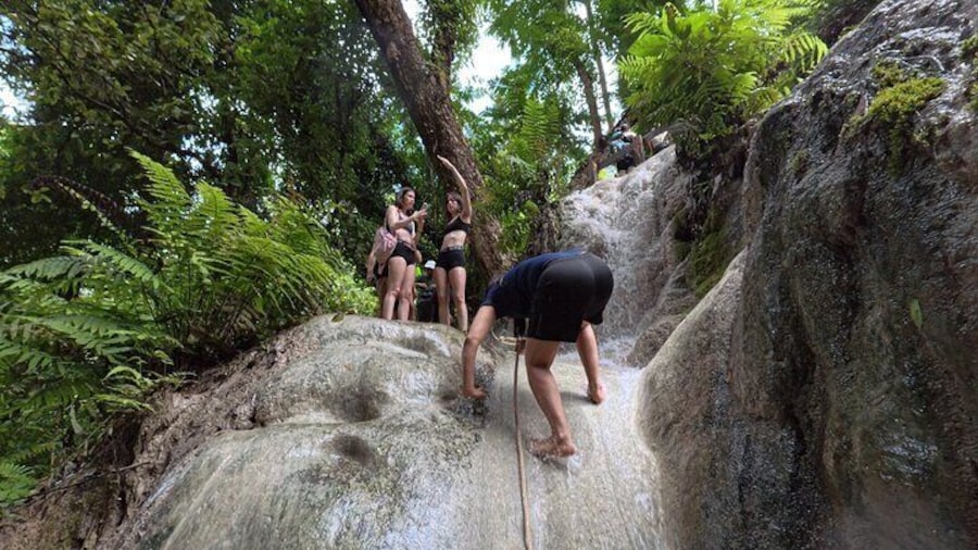 Half Day Chiangmai Bua Tong Sticky Waterfall Tour