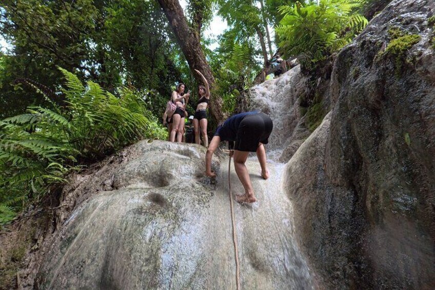 Half Day Chiangmai Bua Tong Sticky Waterfall Tour