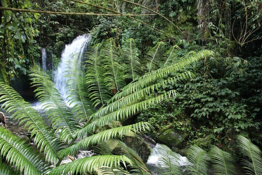 yeh hoh waterfall near jatiluwih