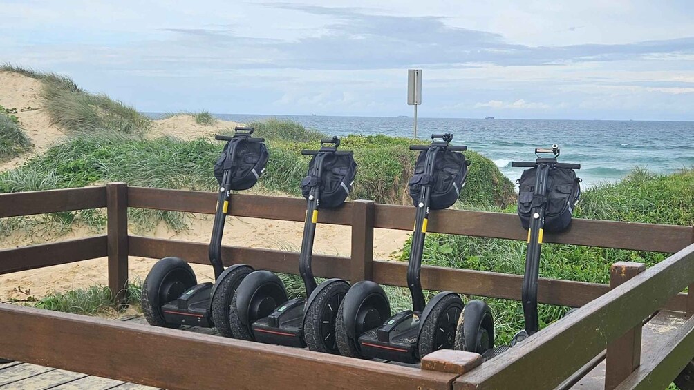 Picture 2 for Activity Sunshine Coast: Coastal Segway Tour (Morning)