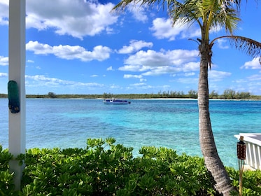 Pearl Island Beach Escape with Lunch & Snorkel Adventure - Nassau | Expedia