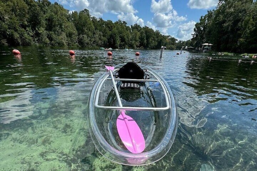 Private Guided Clear Kayak/Paddleboard Rentals on Rainbow River