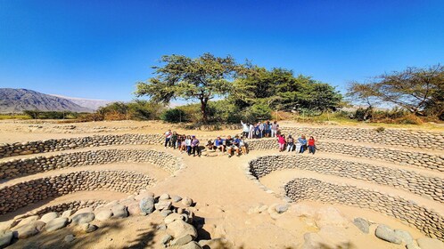 Day Trip to Nazca from Huacachina