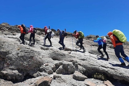 Private Mt Kilimanjaro Full Day Hike -Mandara
