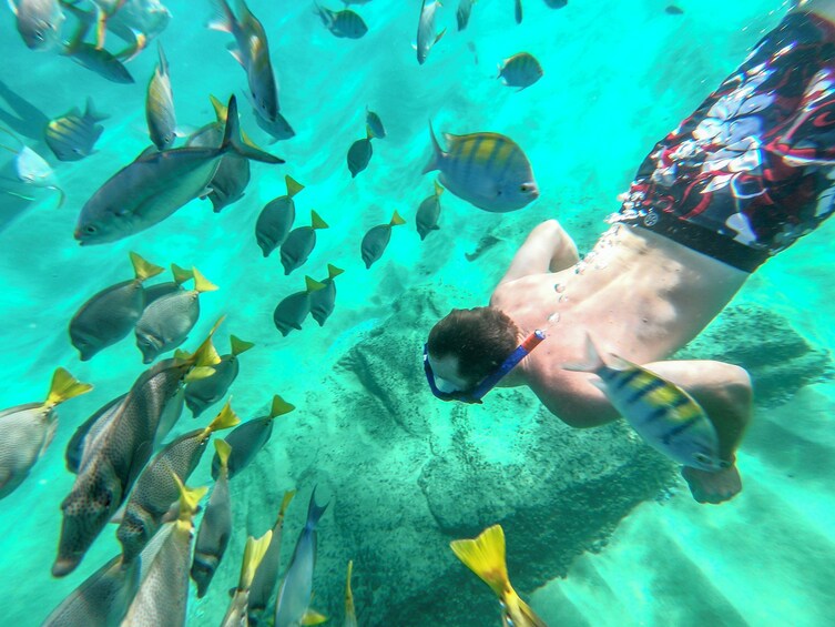 Amazing Day in Cabo: Arch, Beach & Tequila Tour