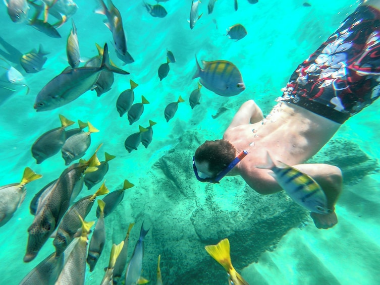 Amazing Day in Cabo: Arch, Beach & Tequila Tour