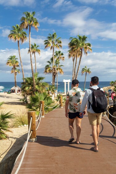 Chileno Beach Escape: Snorkel & Scenic Cabo Adventure