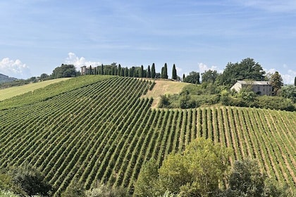 Emilian Bike and Food Tour