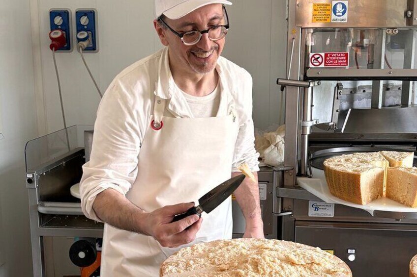 Parmigiano dairy farm visit and tasting